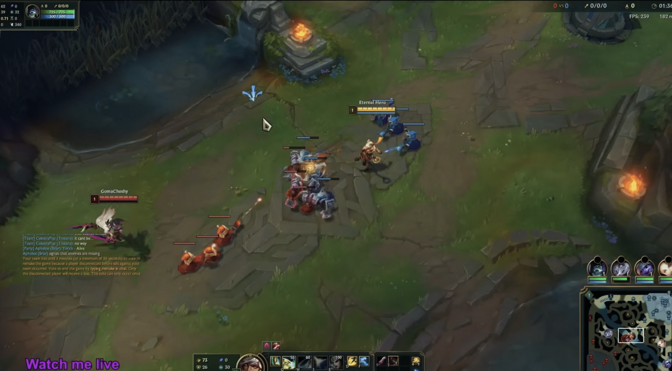 Gameplay Experience & Performance