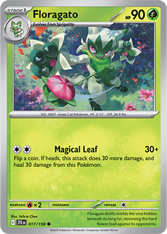017 Floragato