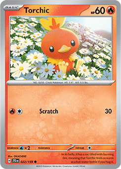 022 Torchic