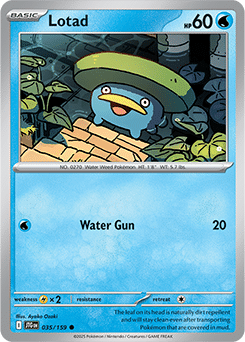 035 Lotad