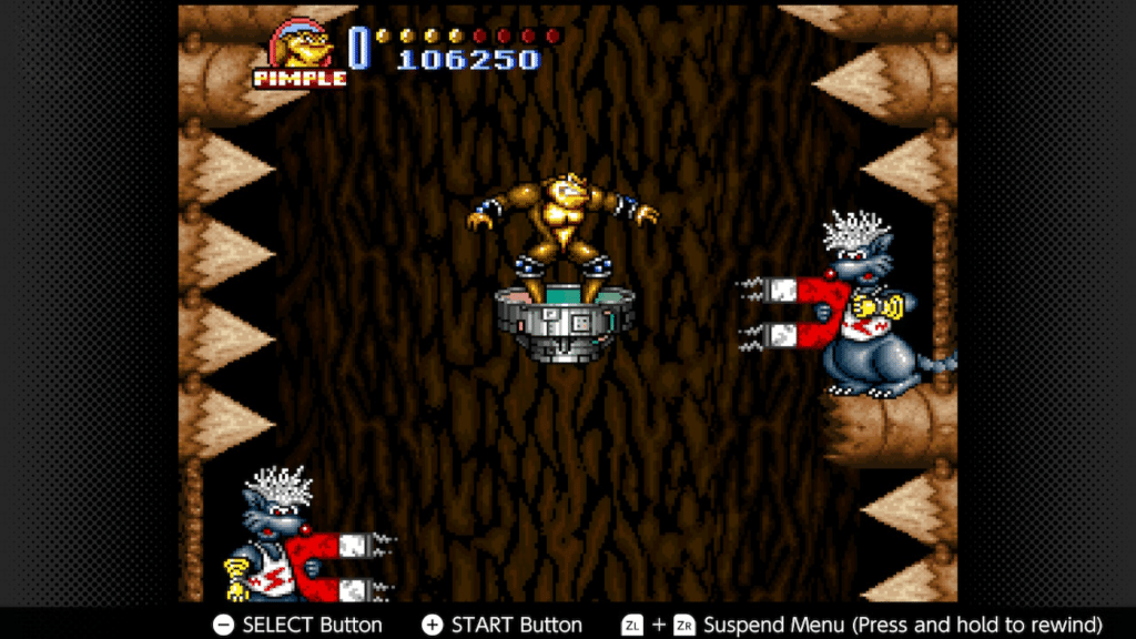 Battletoads in Battlemaniacs