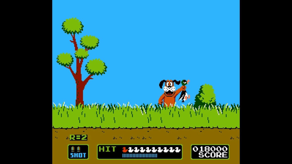 Duck Hunt