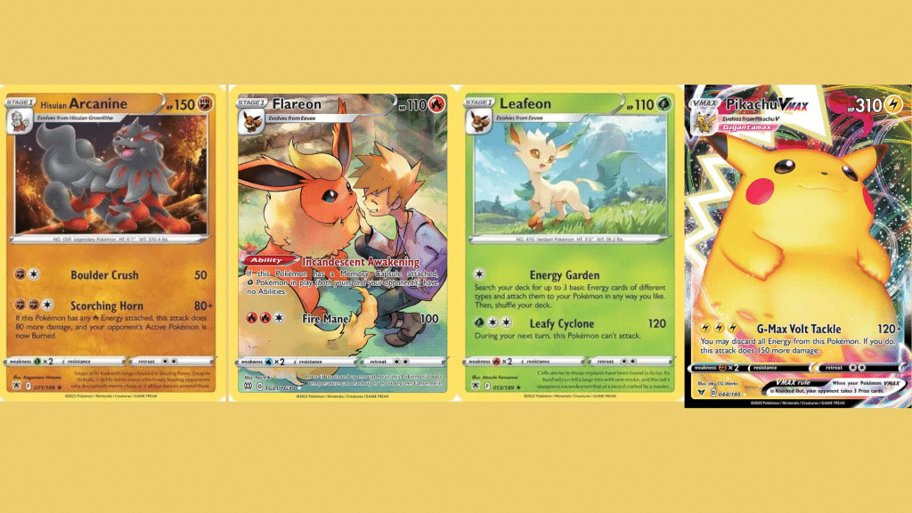 Trainer Gallery Card List