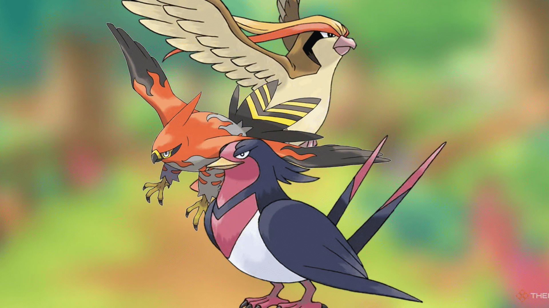 Why are Bird Pokémon Popular?