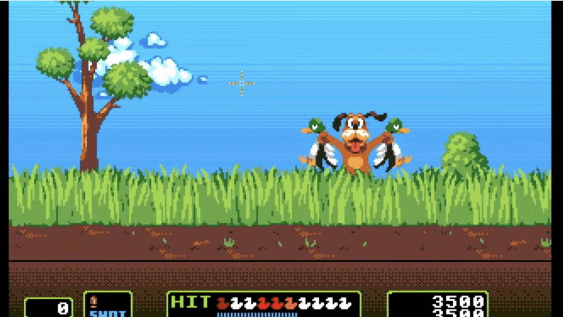 Duck Hunt