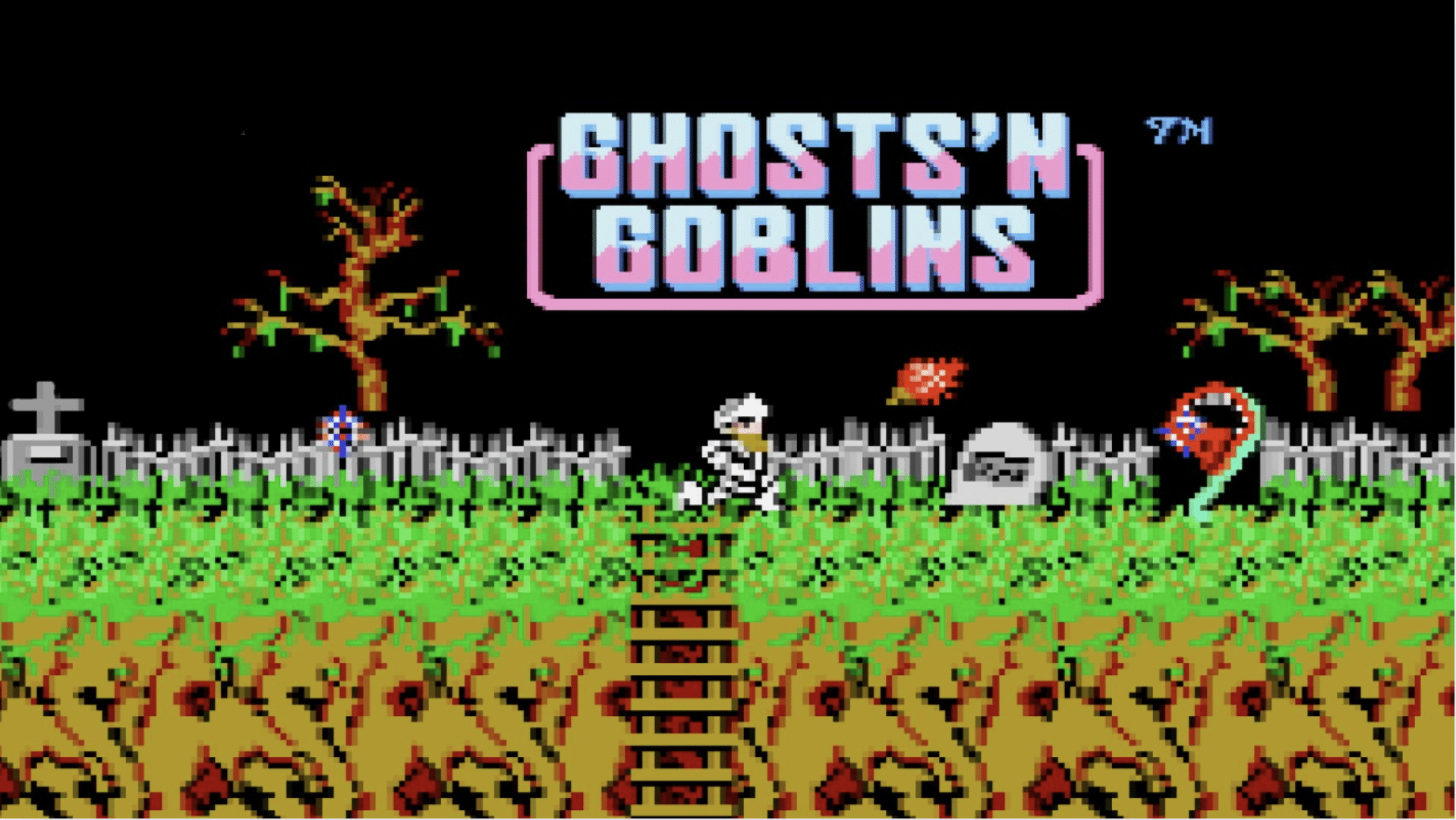 Ghosts 'N Goblins