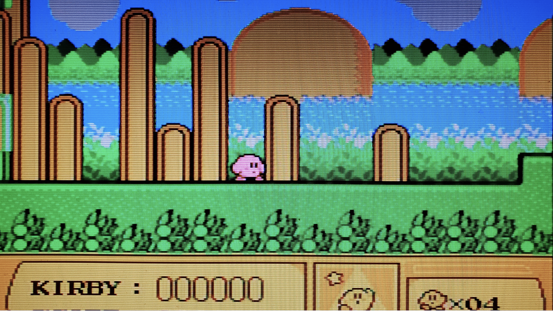 Kirby's Adventure