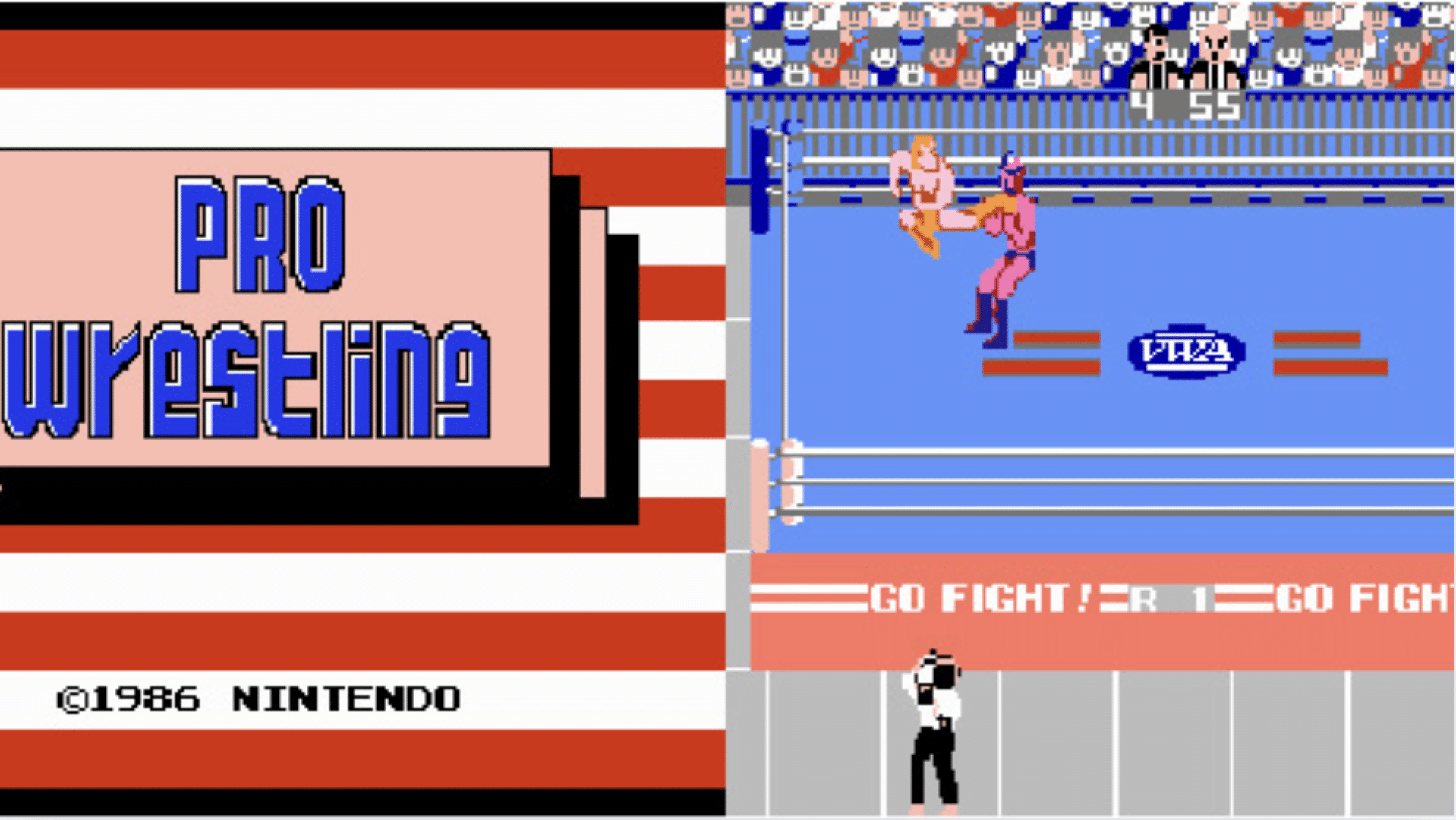 Pro Wrestling