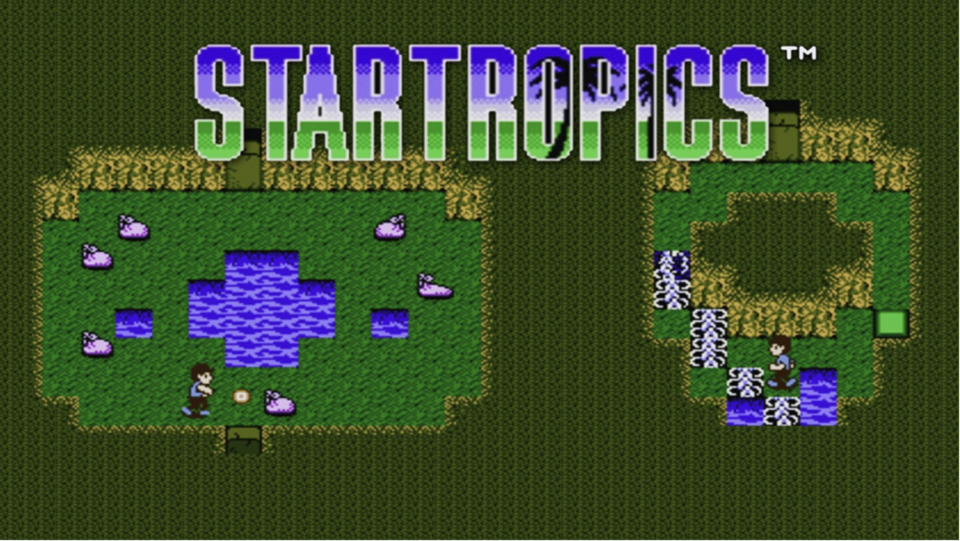StarTropics