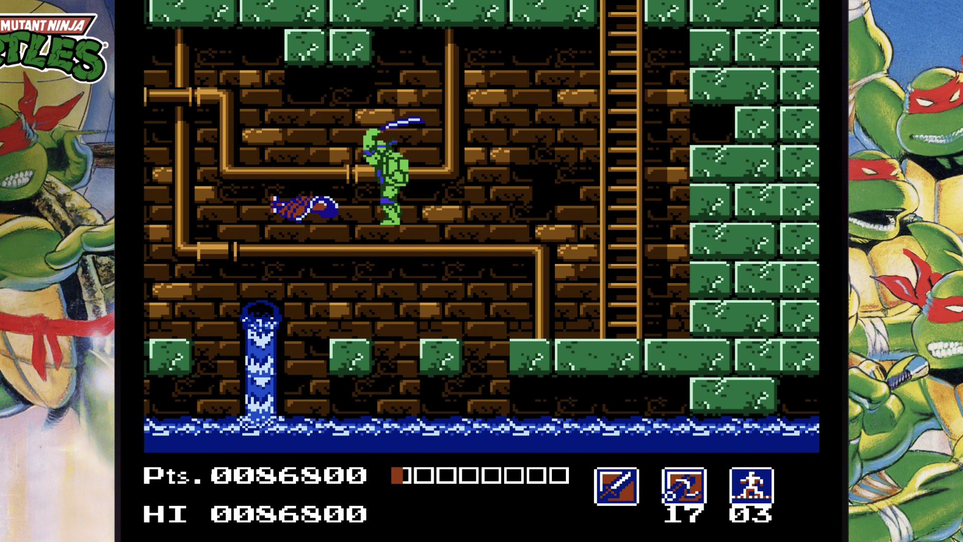 Teenage Mutant Ninja Turtles