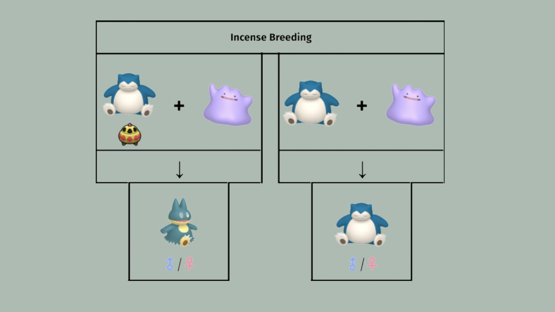 Pokémon Breeding Guide: Egg Groups, Mechanics, & Benefits - Ggwp Academy